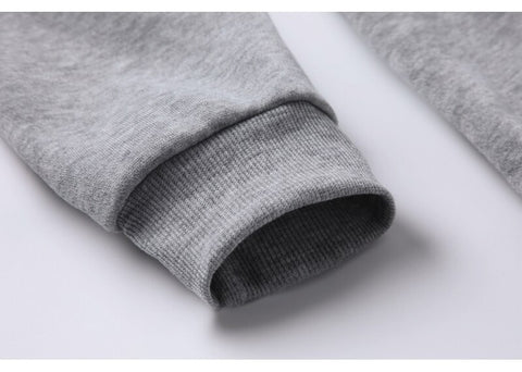 Sweat à capuche Alien Homme Gris